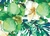 Plato de sitio rectangular ORQUiDEA x20 AP - comprar online