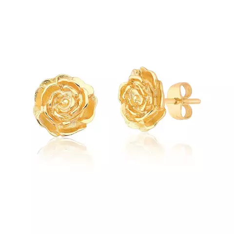 Brinco de ouro