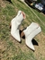 Bota Off Vizzano Western Bico Fino - comprar online
