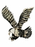 Aplique Grande Aguila Blanca y Negra