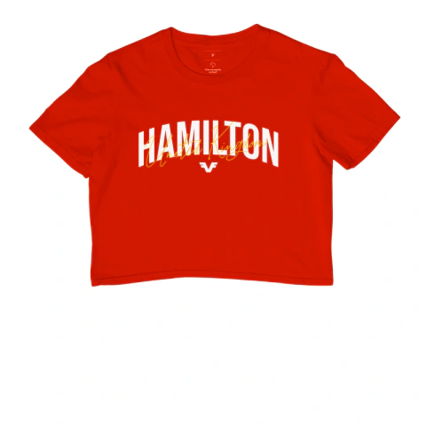 Cropped Hamilton Fãn na internet
