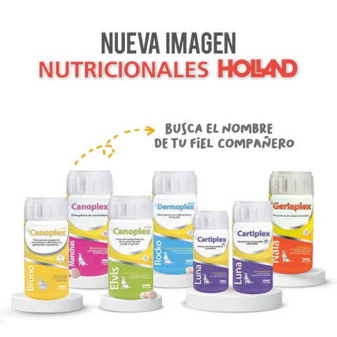 Banner de la categoría Antimicóticos