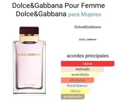 DOLCE GABBANA POUR FEMME EDP 100ml