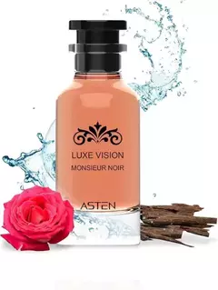 ASTEN LUXE VISION MONSIEUR NOIR - comprar online