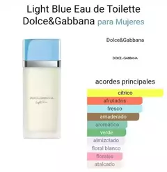 DOLCE GABBANA LIGHT BLUE EDT 100ml