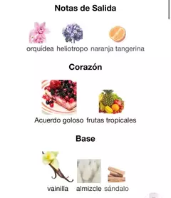 LATTAFA YARA EDP 100ml en internet