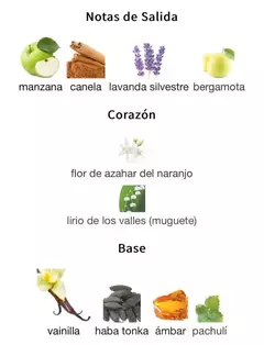 AFNAN 9PM 100ml en internet