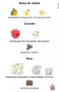 ALHAMBRA REYNA 100ml en internet