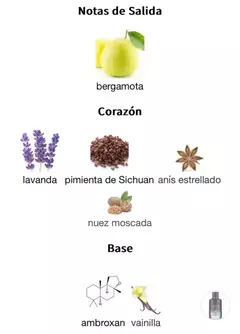 ALHAMBRA SALVO 100ml en internet