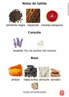 ALHAMBRA KALOS 100ml en internet