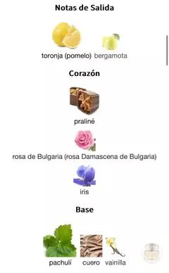 ALHAMBRA LA VITA 100ml en internet