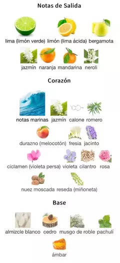 GIORGIO ARMANI ACQUA DI GIO 100ml en internet