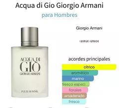 GIORGIO ARMANI ACQUA DI GIO 100ml - comprar online