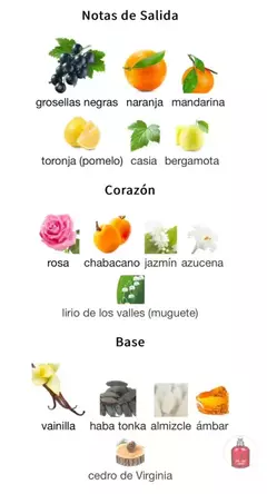 CACHAREL AMOR AMOR 50ml en internet
