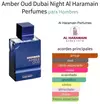 AL HARAMAIN AMB OUD DUBAI NIGHT 100ML - comprar online