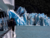 Glacier Navigation – VIP on internet