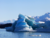 Glacier Navigation – VIP - online store