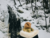 Escondido Lake and Winter Centers on internet