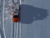 Antarctic Experience on internet