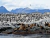 Navegação Canal Beagle - loja online