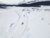 Antarctic Experience - buy online