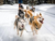 Full Day Snow - Mundo Patagonia