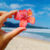 Ímã Flor de hibisco na internet