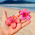 Ímã Flor de hibisco - comprar online