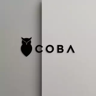 Cobashoes