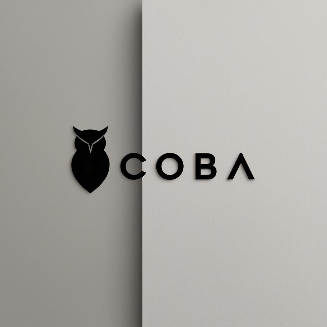 Cobashoes