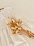 VESTIDO CUELLO BRODERIE - tienda online