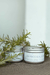 Bamboo e Alecrim - comprar online