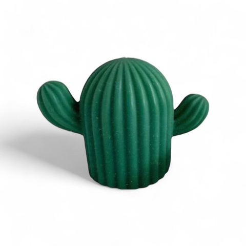 CACTUS - comprar en línea