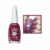Imagem do Esmalte Colorama Cremoso Longa Duração 8ml – Várias Cores