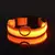 Imagem do Coleira LED