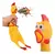 Brinquedo Galinha de Borracha - comprar online