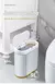 Lixeira com Indução Inteligente, Elegante e Sensor Automático Moderno na internet