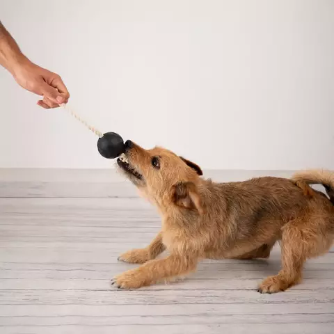 Soga Pelota Exterme - comprar online