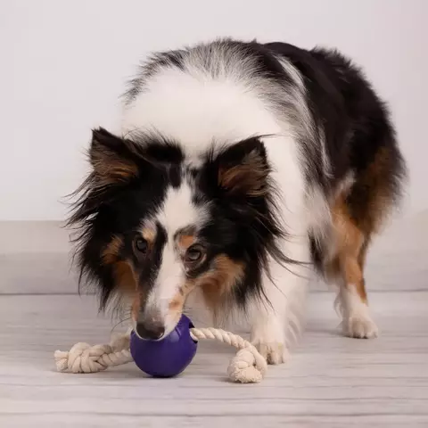 Pelota con Soga Glotoni Soft - comprar online