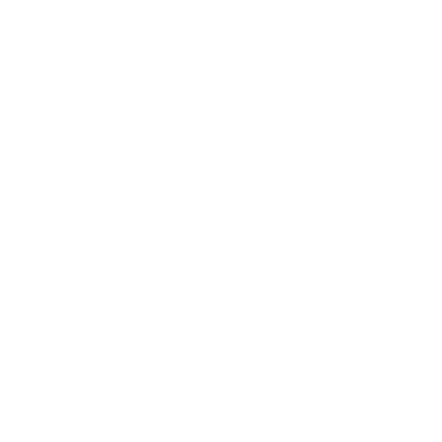 ofir lumiere