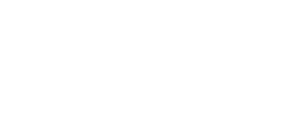 Sanvier Camisetas