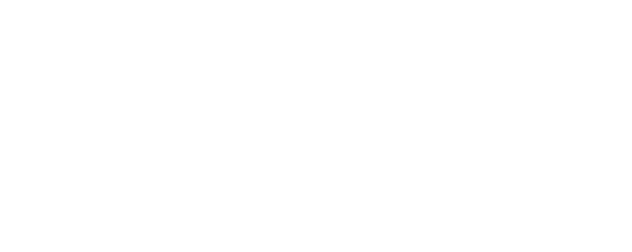 Sanvier Camisetas