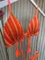 Biquini Elloah Trico Bali Laranja/Nude - comprar online