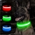 Coleira de LED Lumipet