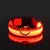 Imagem do Coleira de LED Lumipet