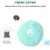 CatBall - Bola Interativa - FastDrop BR