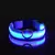 Coleira de LED Lumipet na internet