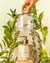 Sabonete líquido Alecrim Mediterraneo 200ml - comprar online