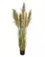 Folhagem Grass Pampas com pote - 1,50m - comprar online