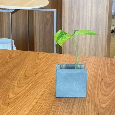 Vaso Nature Ardosia Duplo - comprar online